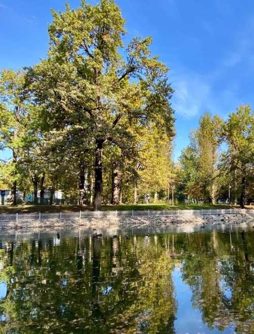 Мастер-класс "Букет из осенних листьев" ко Дню учителя пройдёт в Лианозовском парке 4 октября с 16.00 до 17.00.