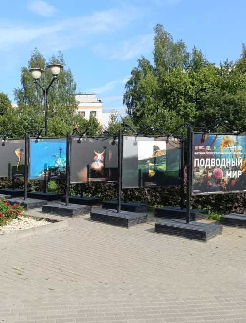 В этнографической деревне Бибирево открылась уникальная фотовыставка от Русского географического общества "Подводный мир".