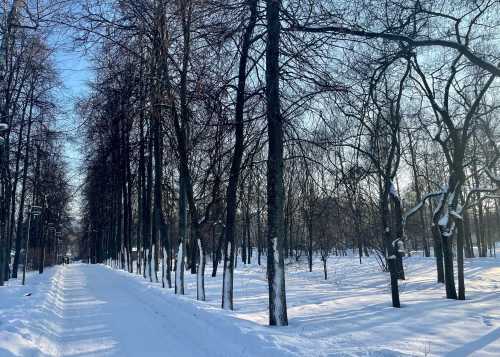 В Лианозовском парке в первый день весны, ждём вас на бесплатный мастер-класс "Букет для моей родной".