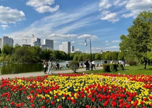 Праздник бесконечной весны и красоты пройдёт в Лианозовском парке 8 марта с 12:00 до 18:00.