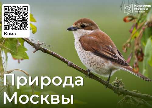 Осенний эколого-просветительский фестиваль «Природа Москвы»