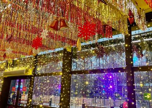 В Лианозовском парке открылся новый каток с искусственным покрытием!