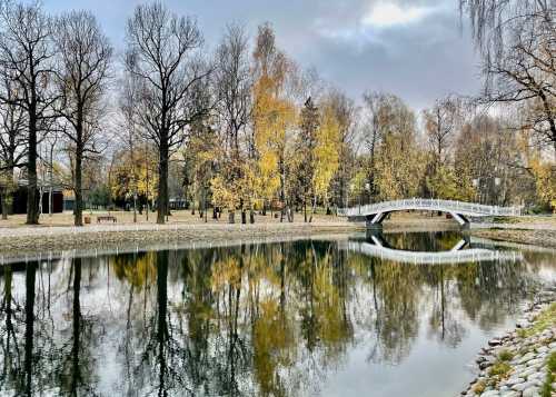 Бесплатный мастер-класс 11 ноября в Лианозовском парке.