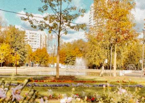 Приглашаем на лекцию 2 октября в Лианозовский парк: «Привязанность — родом из детства: как сохранить устойчивость, если в детстве было всё не так»