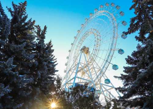 КОНКУРС! Дарим 4 билета на «Солнце Москвы» — самое высокое колесо обозрения в Европе.
