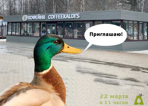 Приглашаем в Лианозовский парк 22 марта на бесплатный мастер-класс "Птичье гнездышко".