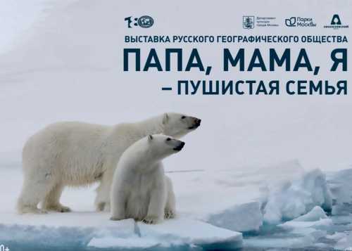 Выставка "Папа, мама, я – пушистая семья"