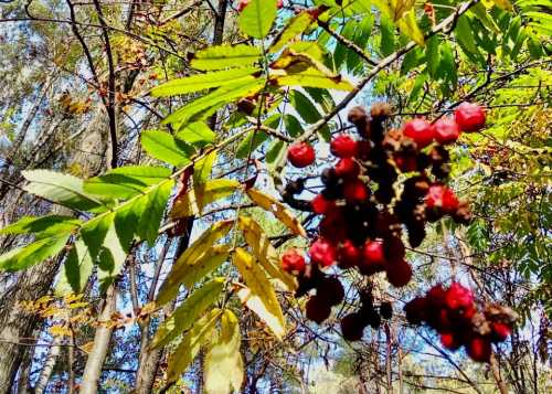 Приглашаем вас в Лианозовский парк на вдохновляющую художественную выставку «Художником может стать каждый»!