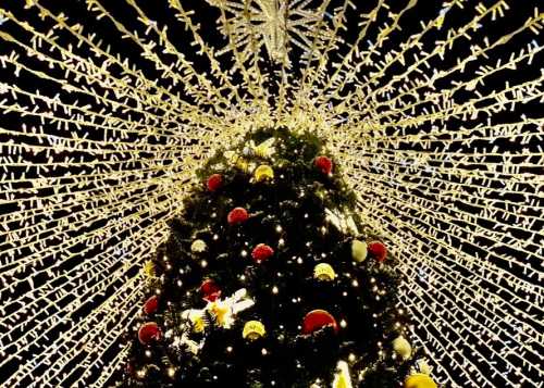 6 декабря в Лианозовском парке пройдет волшебное зимнее мероприятие «Праздник огней и улыбок»!