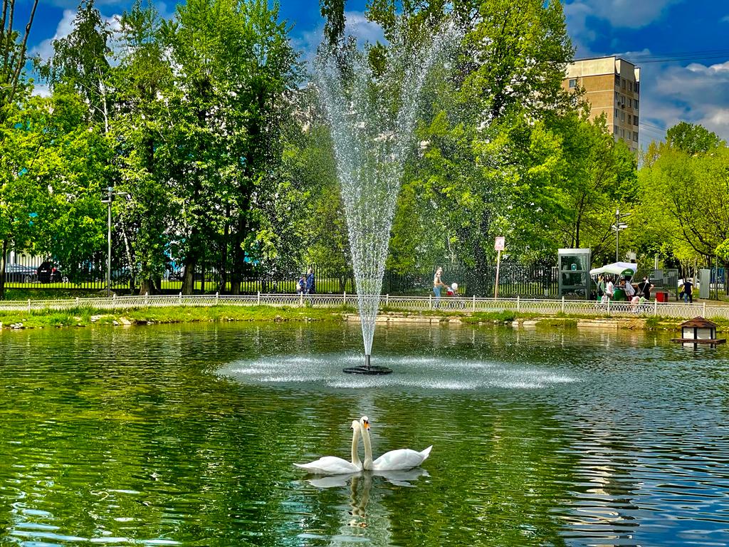 Лианозовский парк